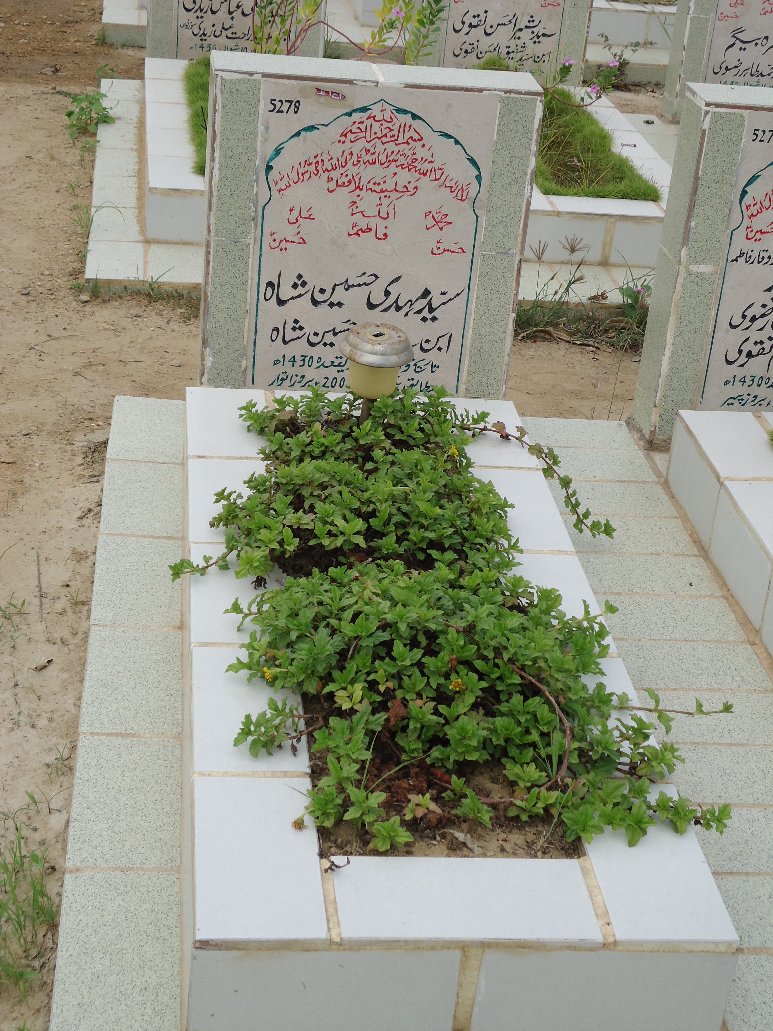 5278 – Syed Mehdi Hussain Shah